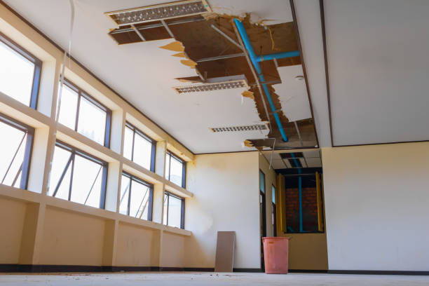 Best Basement water damage restoration  in Tompkinsville, KY