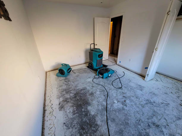 Water damage restoration mold remediation in KY
