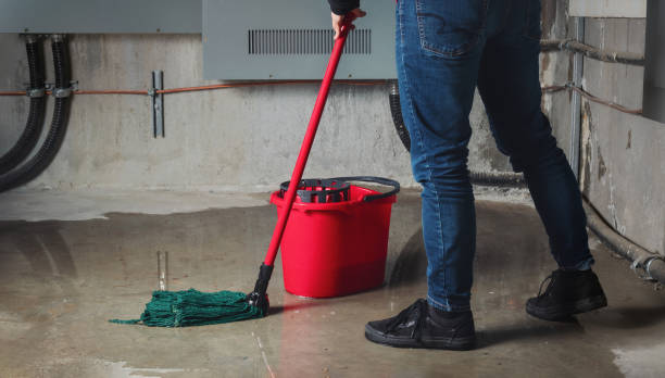 Best 24/7 water damage repair  in Tompkinsville, KY