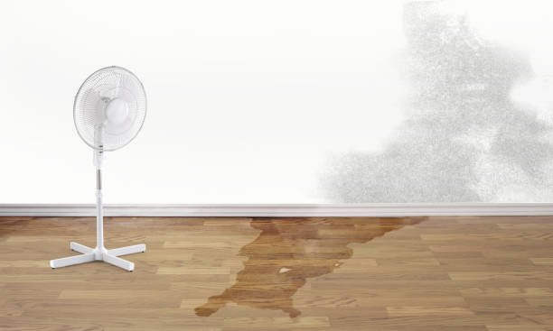 Best Commercial water damage restoration  in Tompkinsville, KY