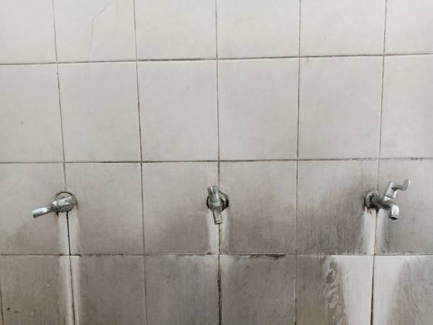 Best Water damage restoration company  in Tompkinsville, KY